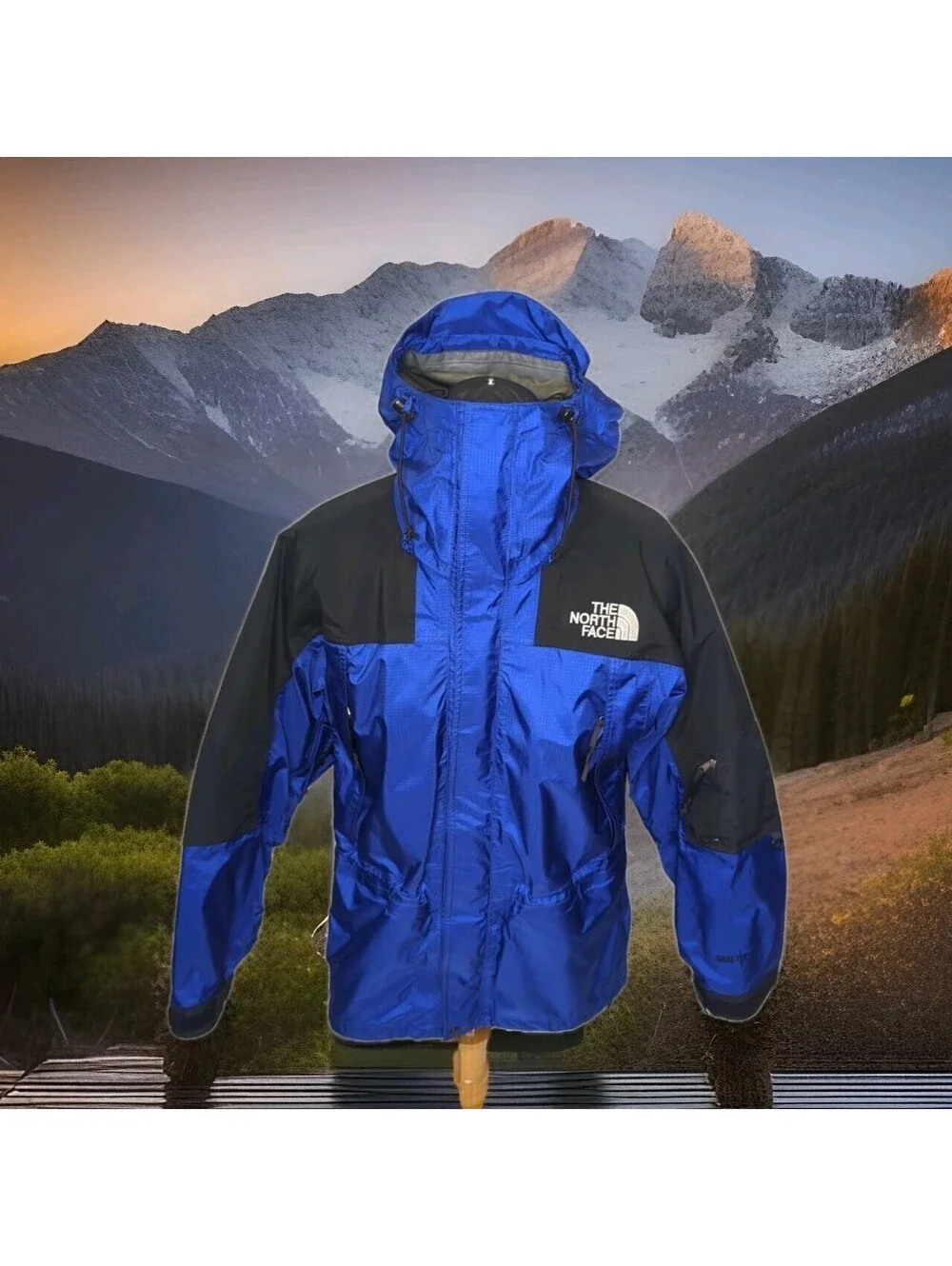 Vintage 90s The North Face Gore-Tex Ski Jacket Gorpcore Mens Small Hood Shell Bl
